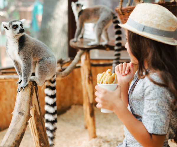Fun Activities To Enjoy With Your One4all Gift Card
