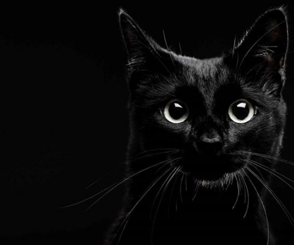 Superstitious Day