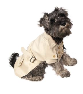 Trench Coat